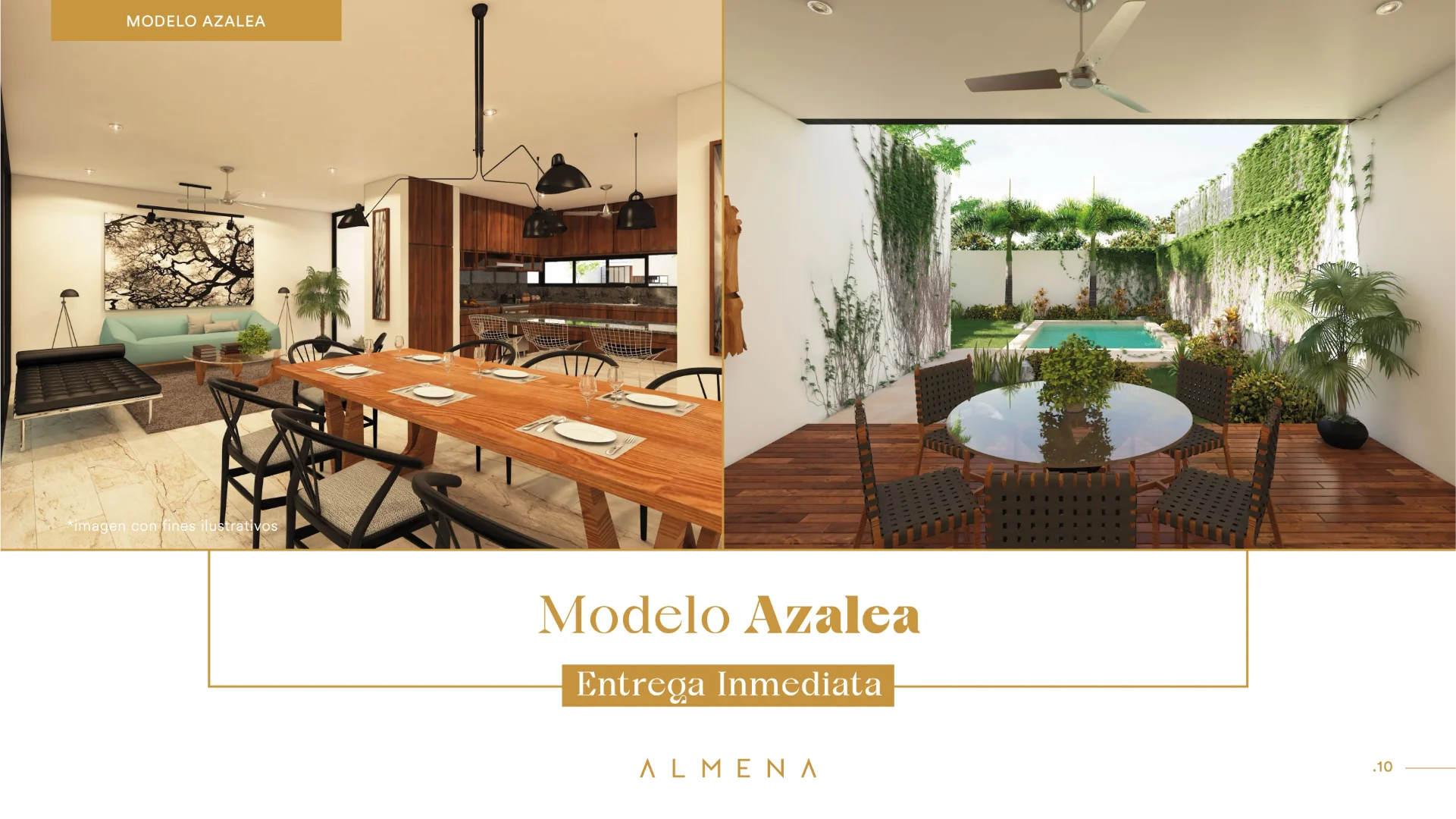 almena_11