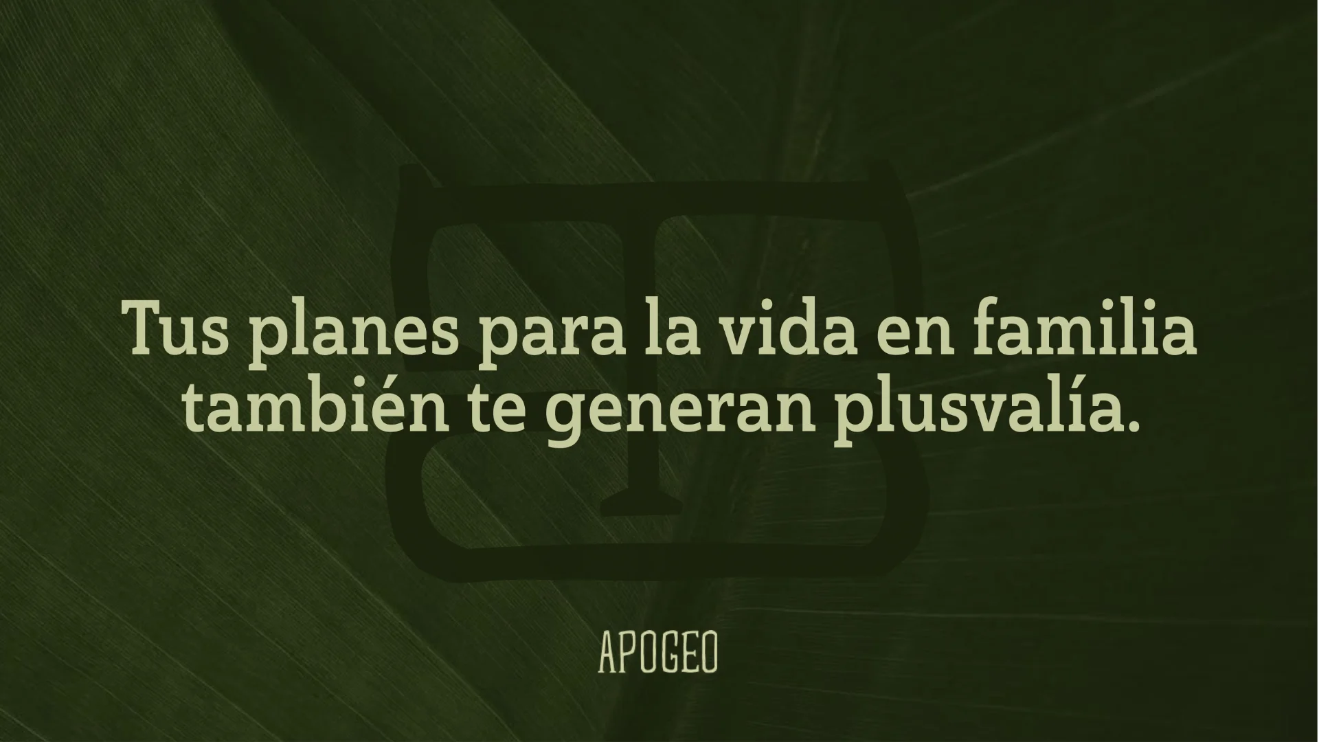 apogeo 22