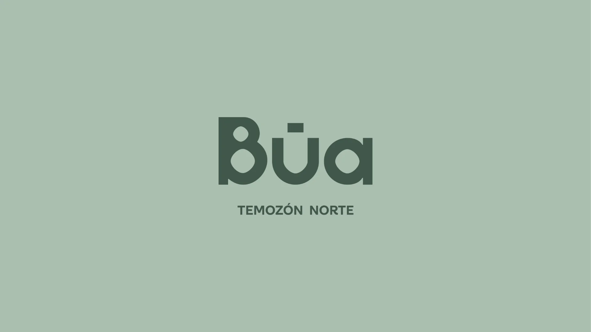 bua 1