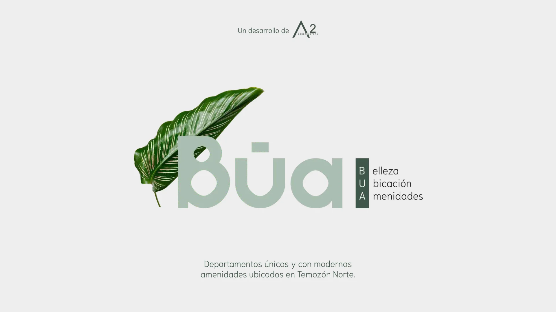 bua 3