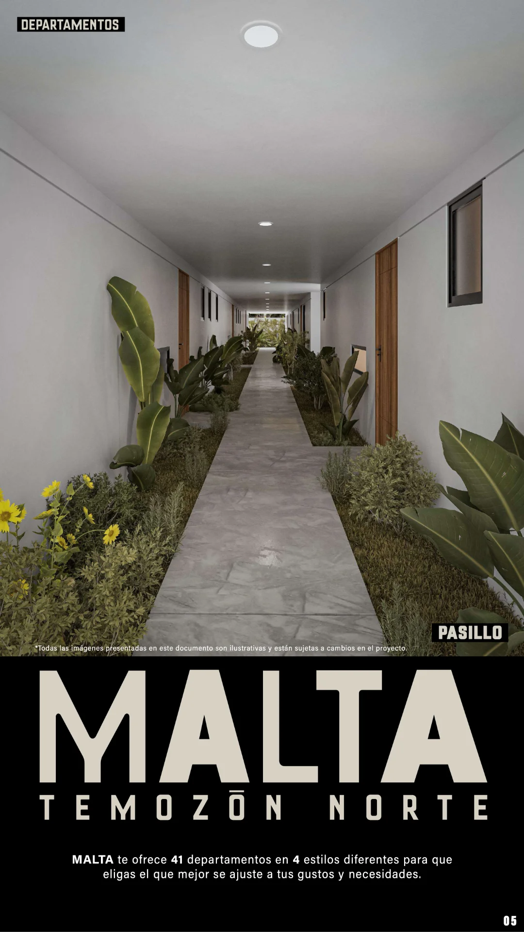 malta 6