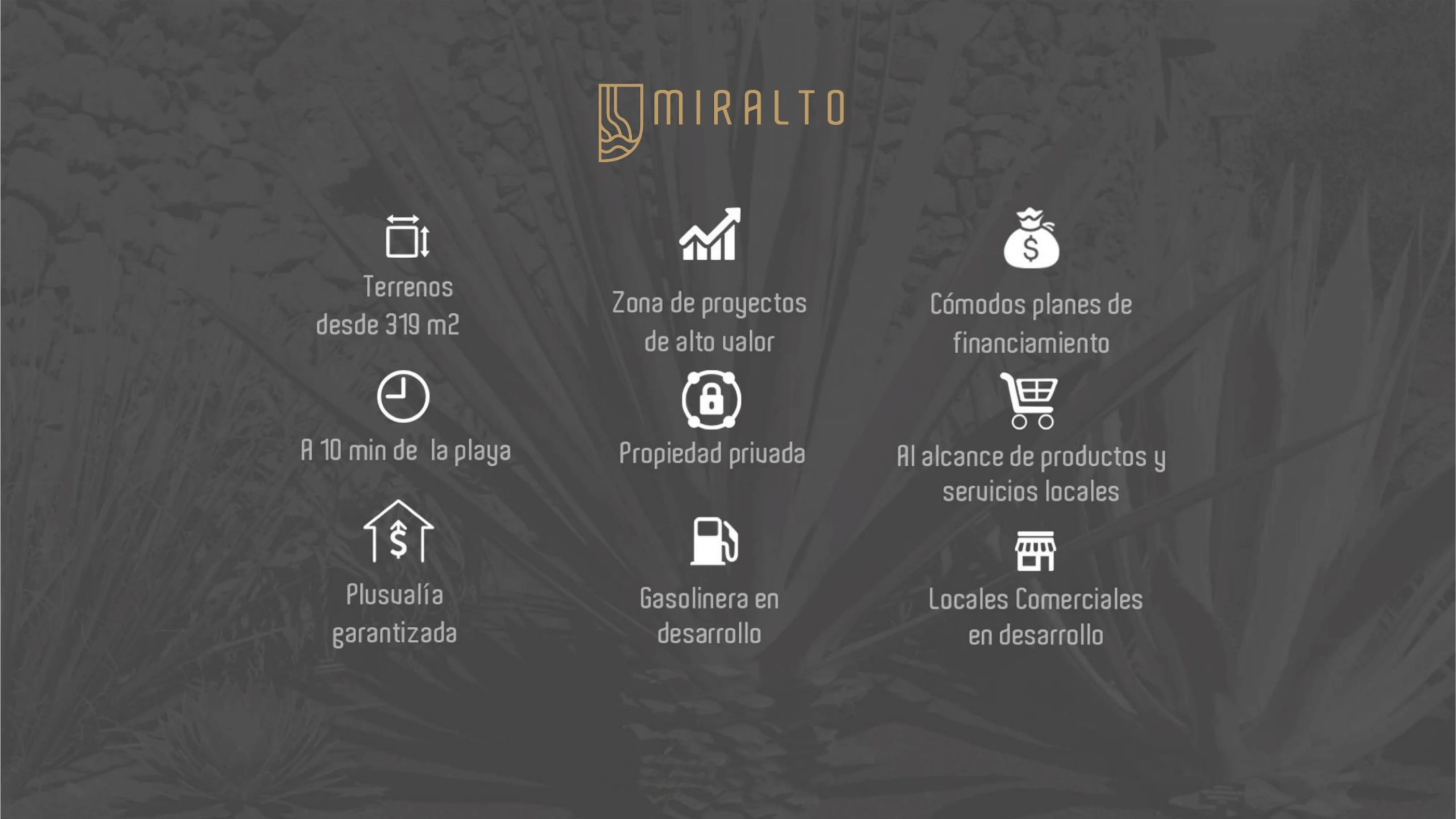miralto5