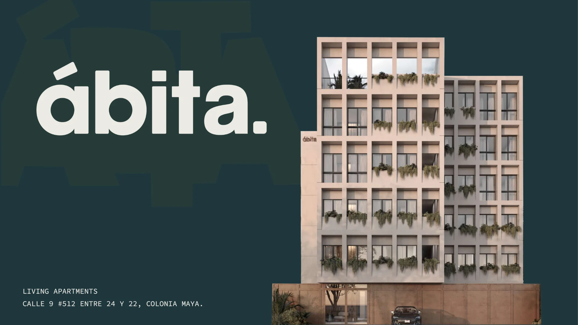 abita 1