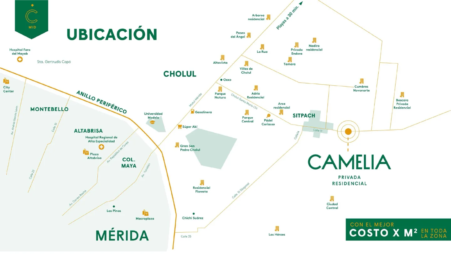 camelia2026 27