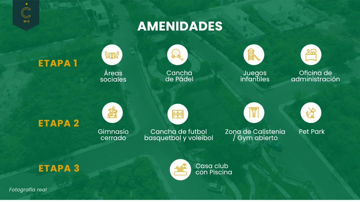 camelia2026 30