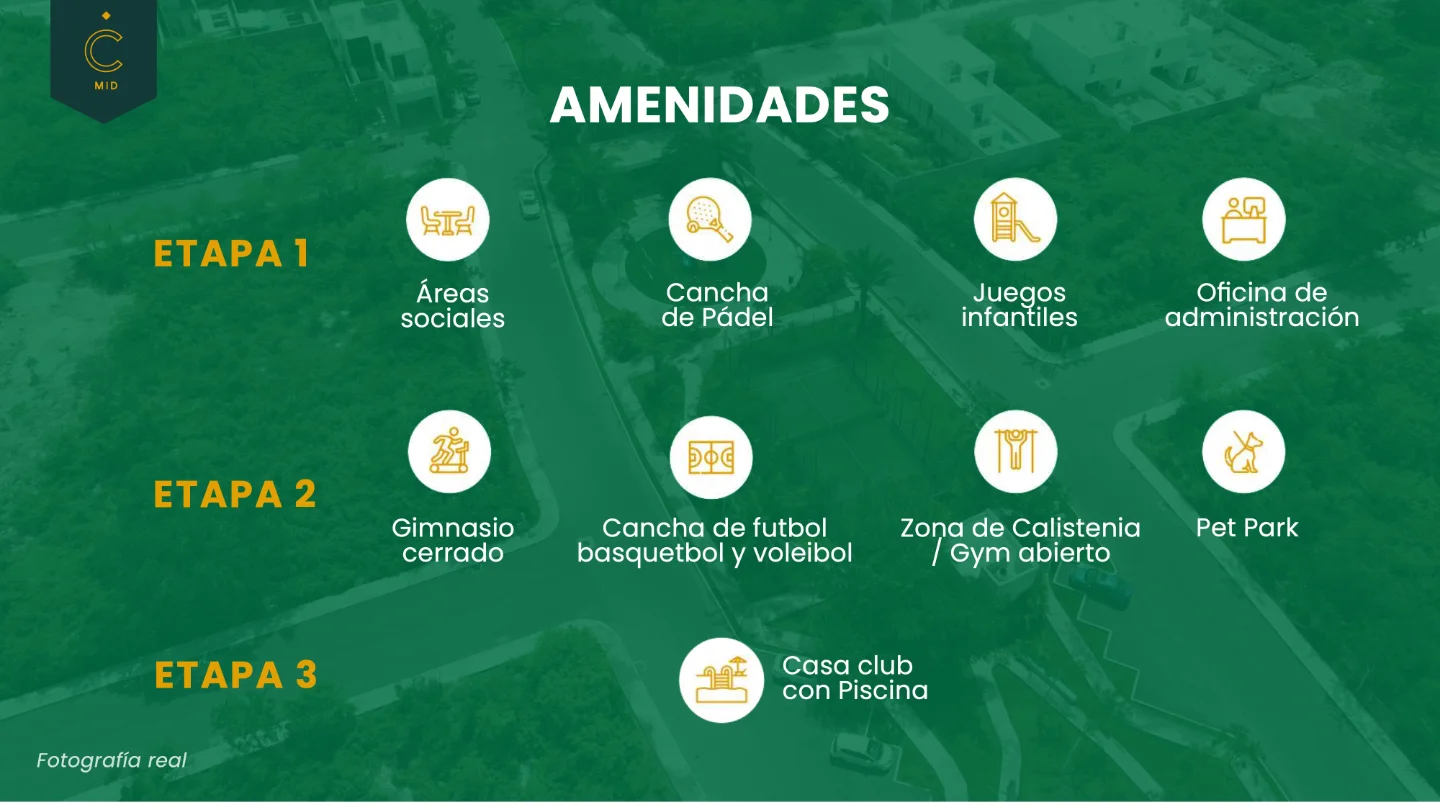 camelia2026 9