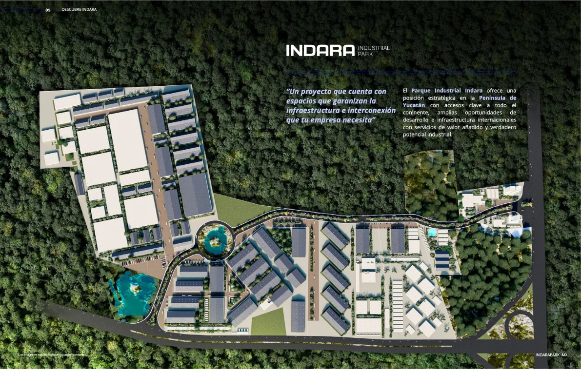 indara 6